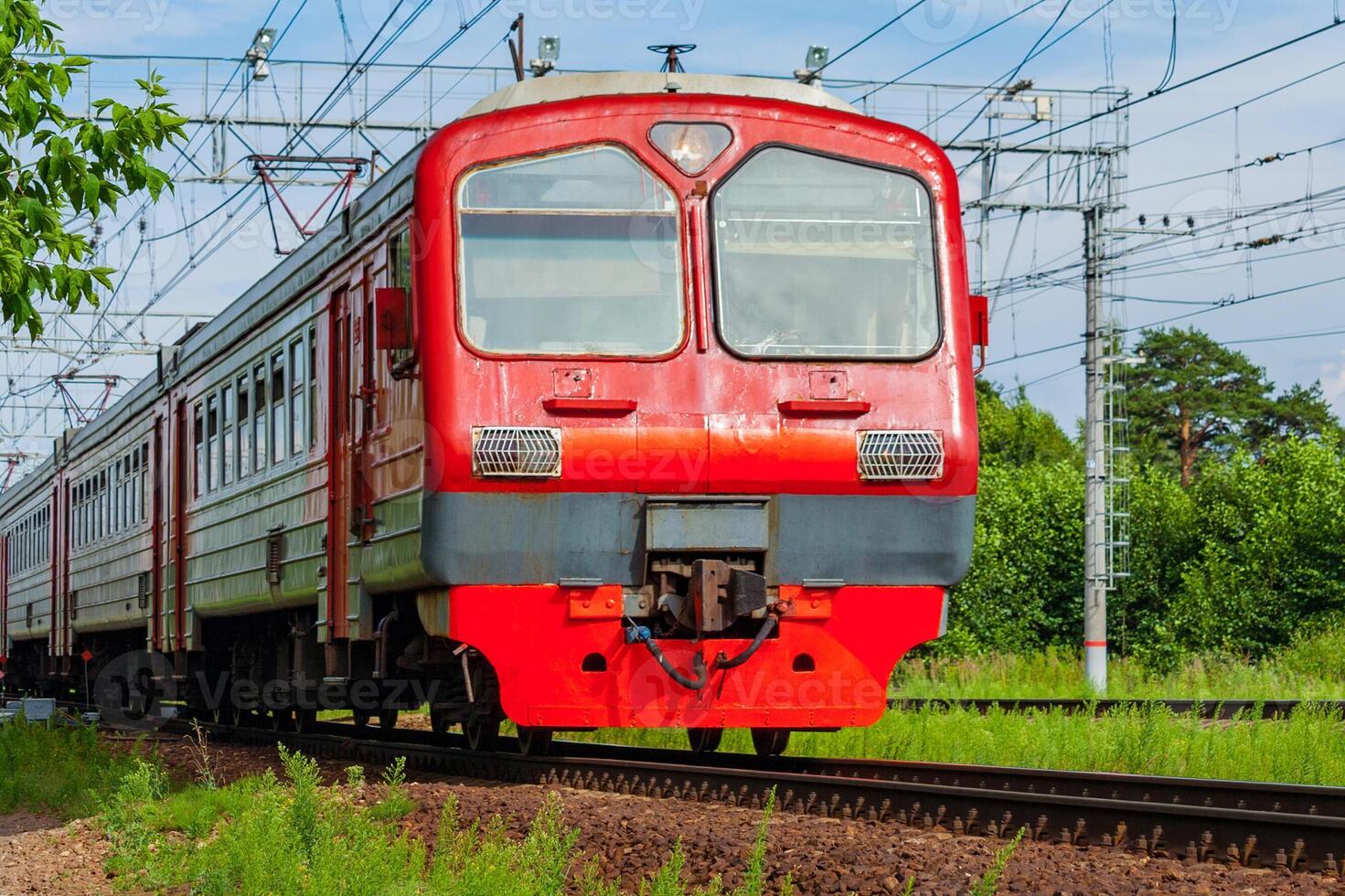 Train moves against the background of green trees photo