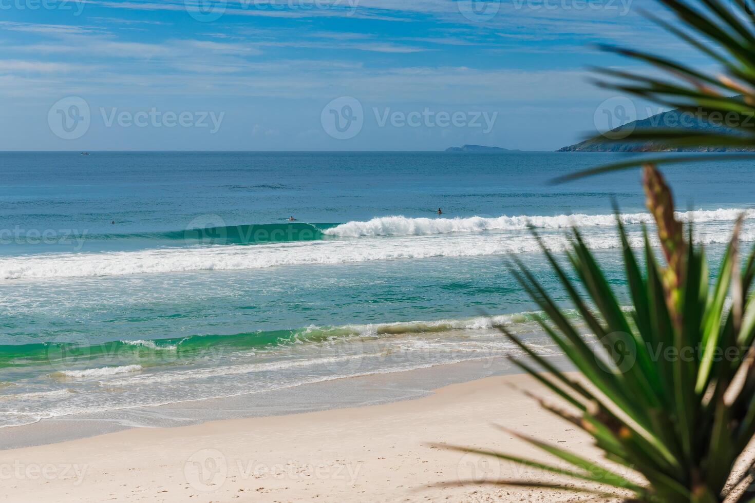 Holiday beach and ocean with surfing waves in Brazil. Morro das Pedras beach in Florianopolis photo