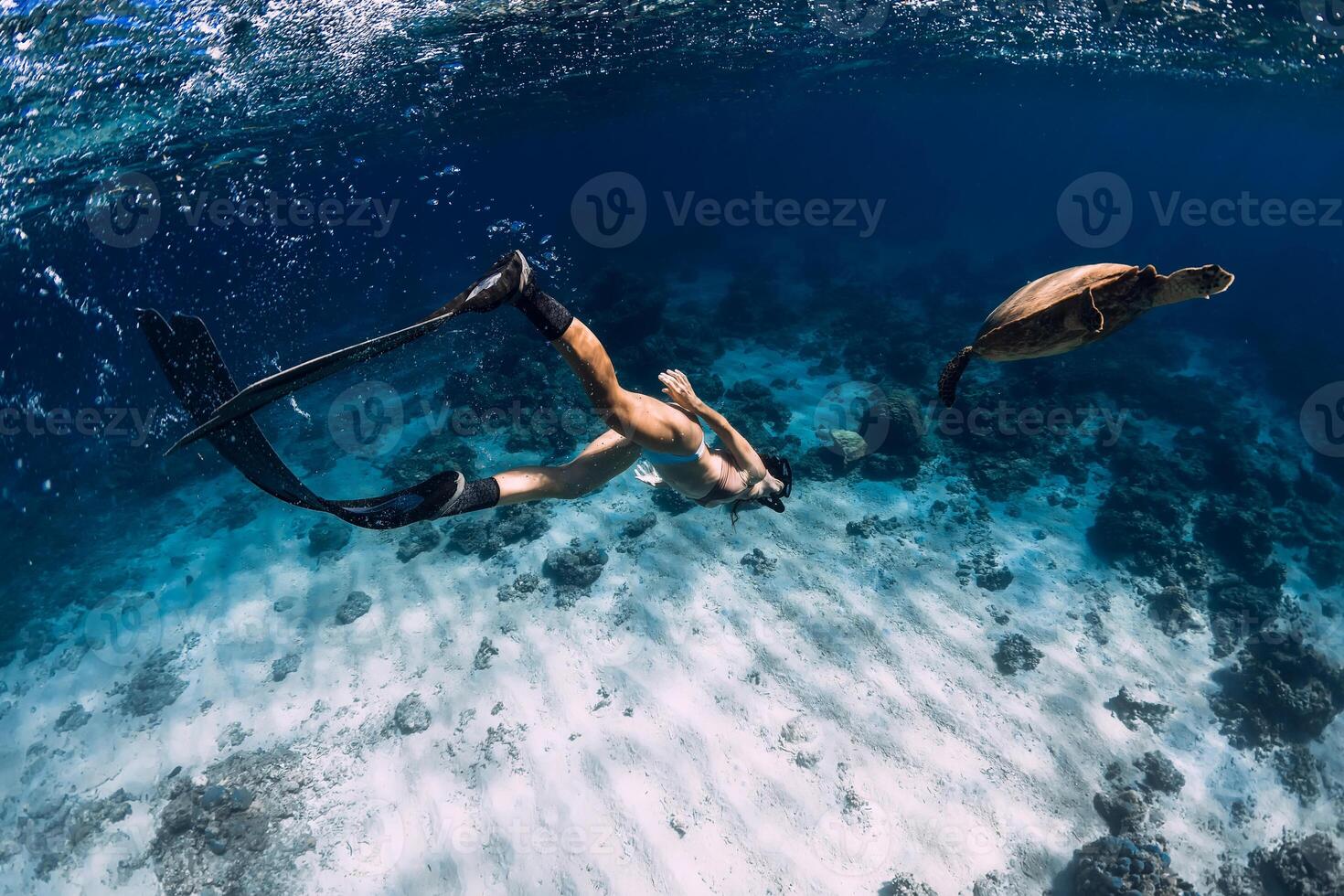Snorkeling with sea turtle. Lady with fins dive underwater with turtle in sea. photo