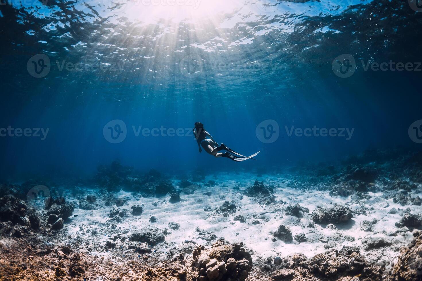 Woman freediver underwater in ocean. Freediver in the clear waters photo