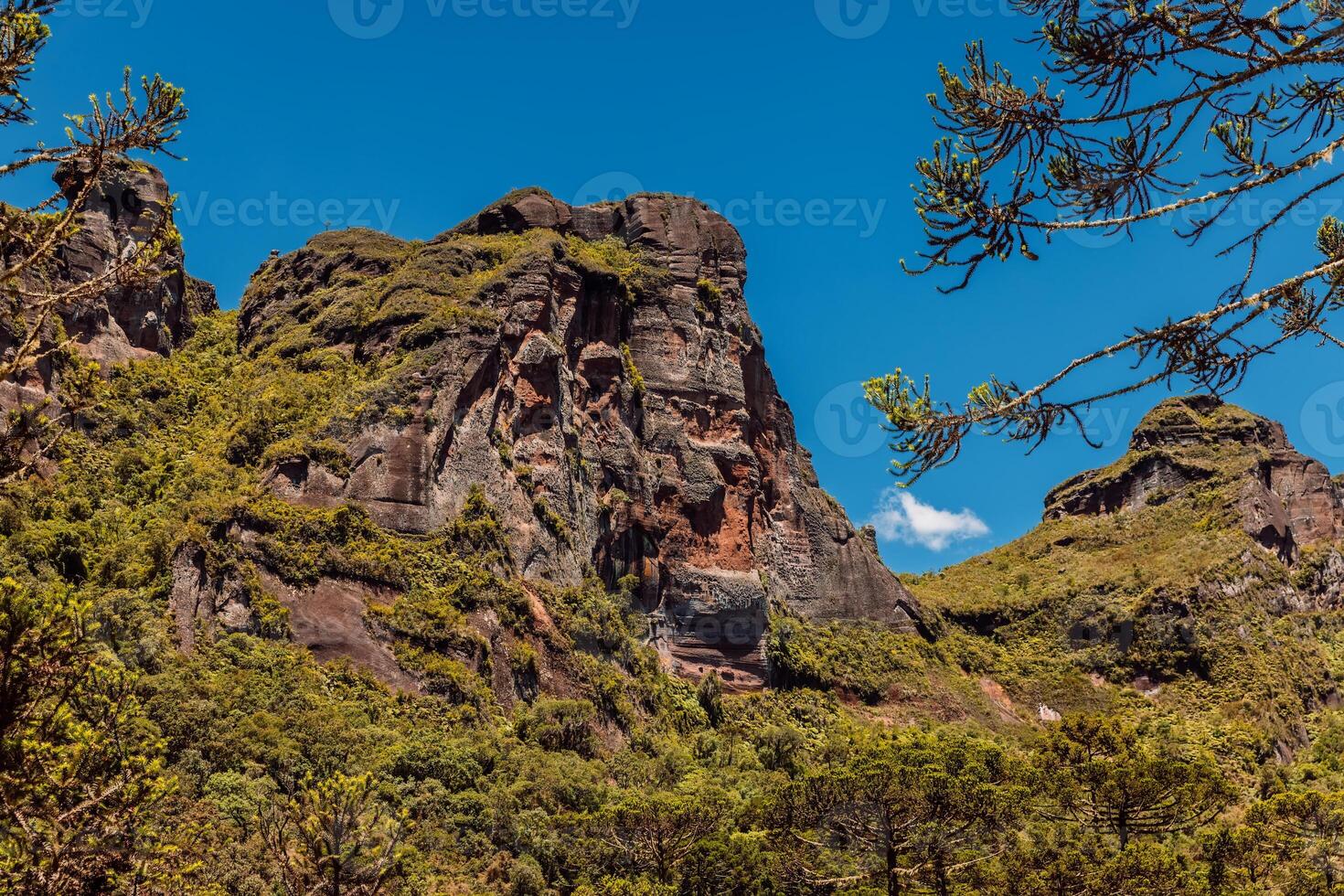 Scenic Morro dos Cabritos canyon with araucaria trees and rocks in Brazil photo