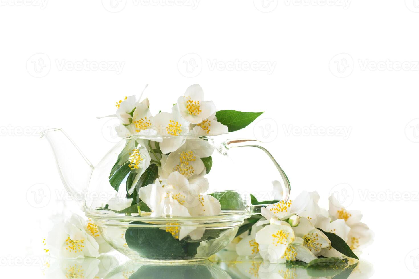 blooming jasmine flowers in a glass teapot, isolated on white background photo