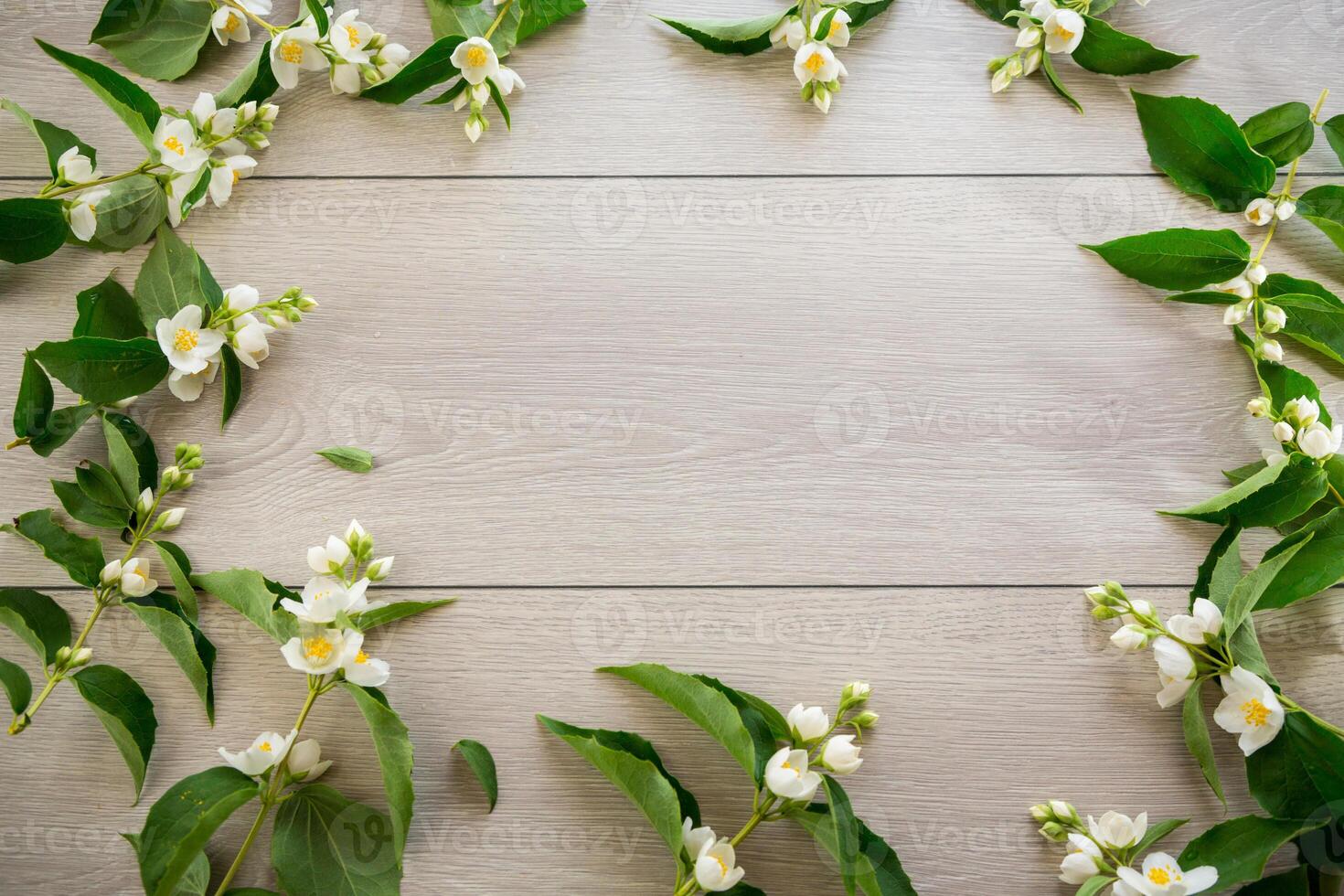 wooden light background with white jasmine flowers photo