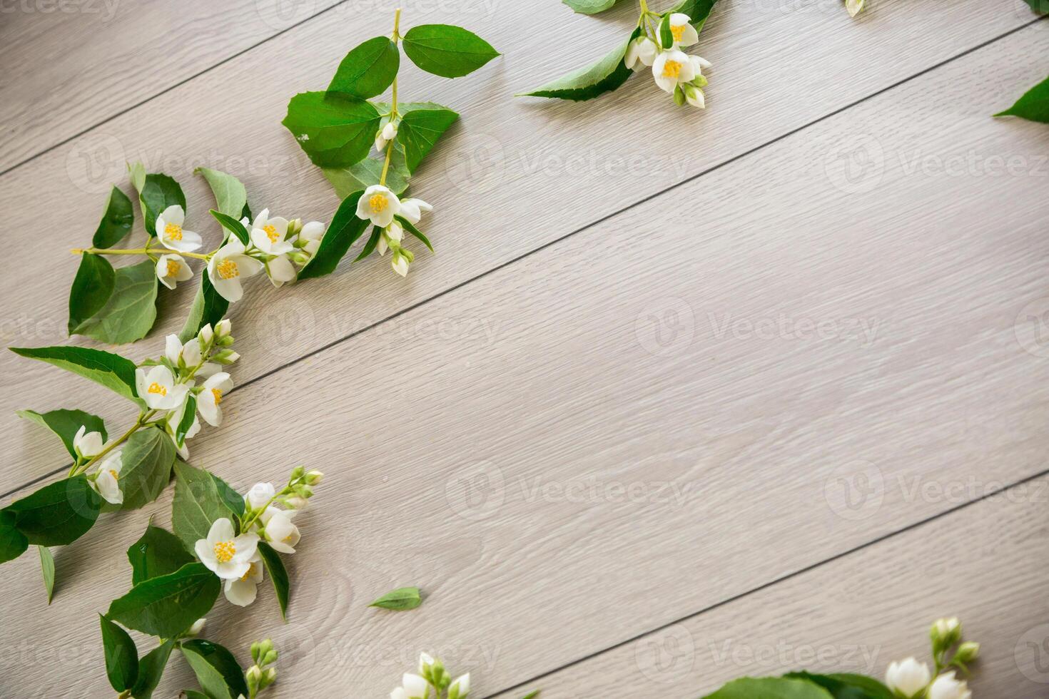 wooden light background with white jasmine flowers photo