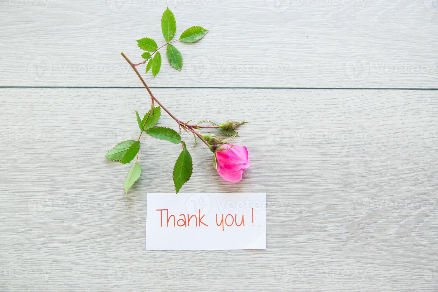 light wooden background with bright pink roses photo