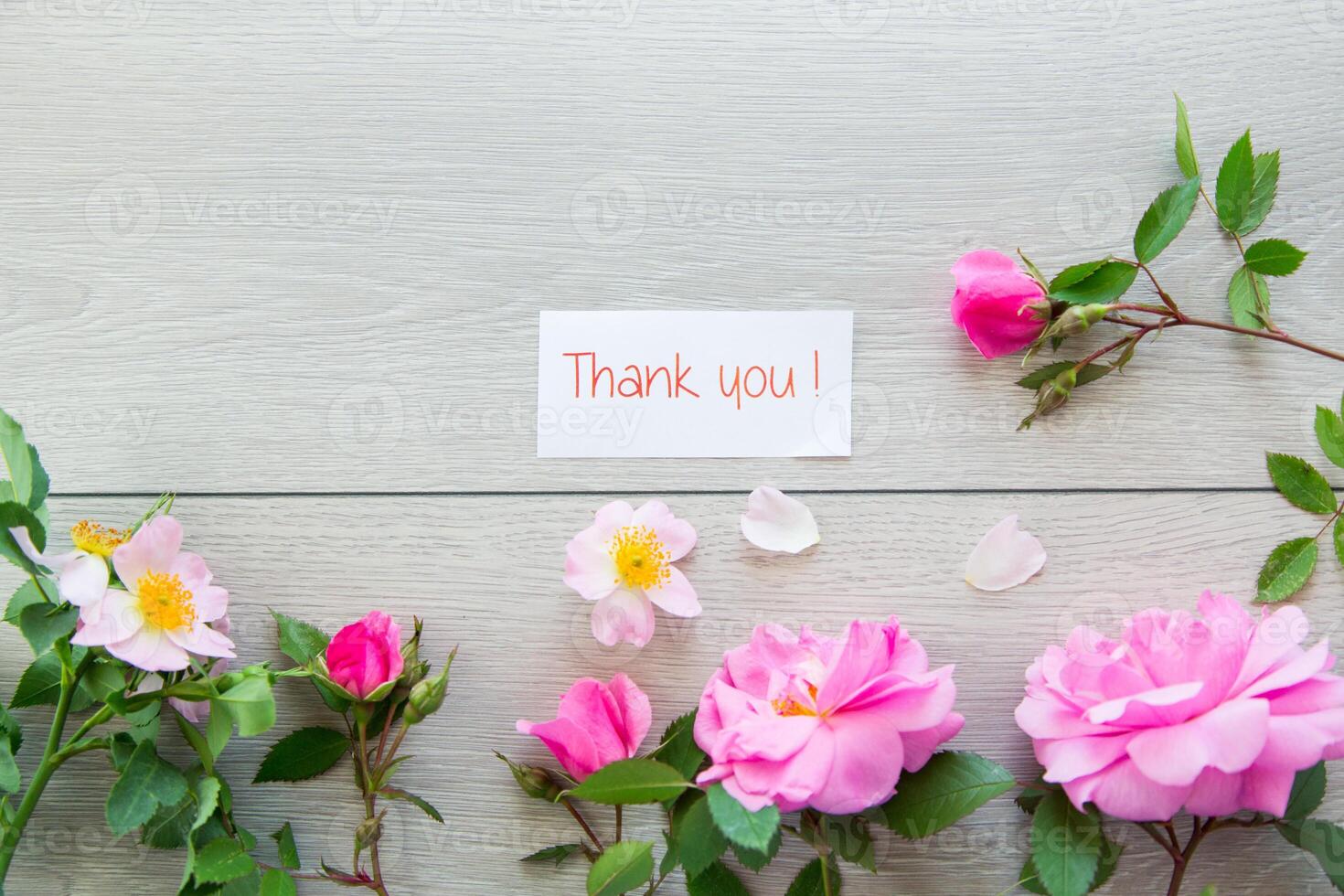 light wooden background with bright pink roses photo