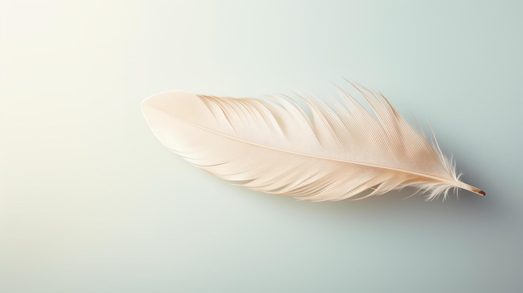 A soft, delicate feather rests on a pale blue background photo