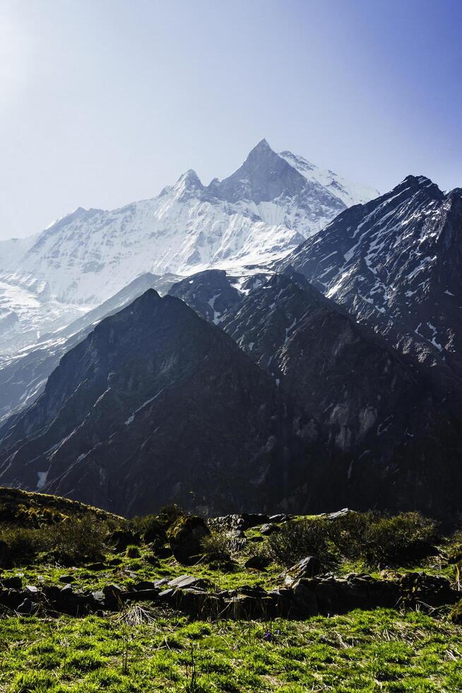 Machhapuchhare, Mt Fishtail in the Himalayas of Nepal, Machapuchare, the Sacred Mountain of Nepal photo