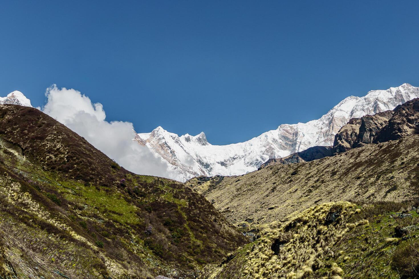 Annapurna Dakshin The Southern Face of Nepal's Annapurna, Unveiling the Beauty of Annapurna Dakshin photo
