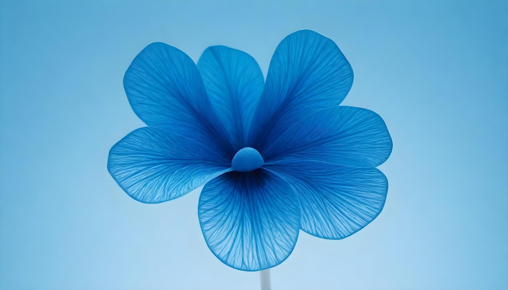 Calm blue background concept A large blue flower with close up clear petals photo