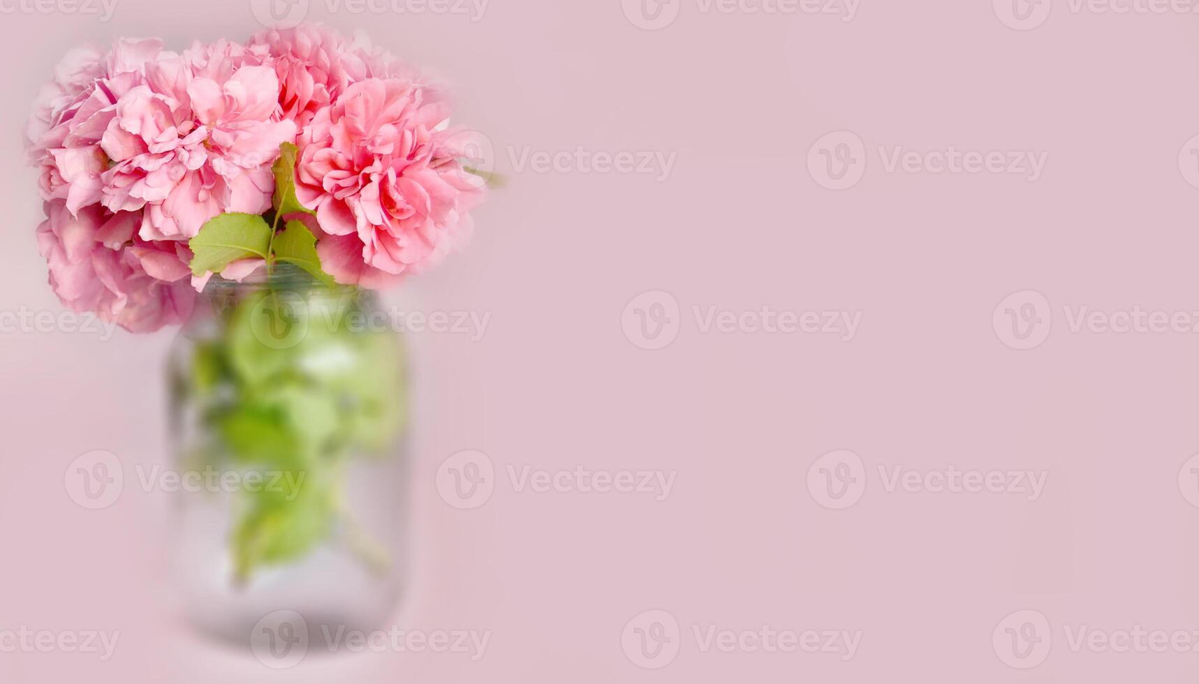 roses bloom in the summer in the country garden photo