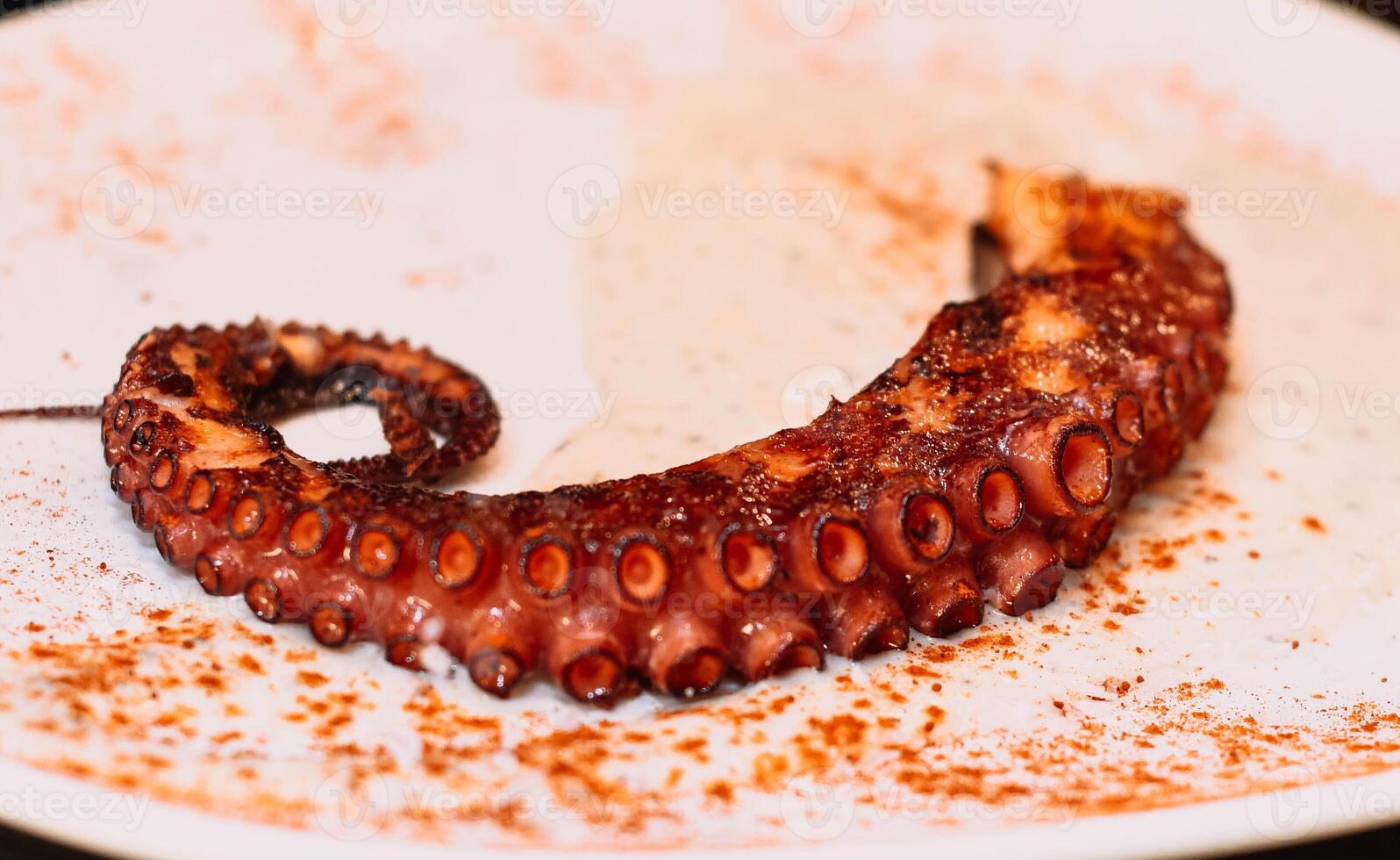 Gourmet dish of grilled octopus tentacle in a fancy restaurant photo