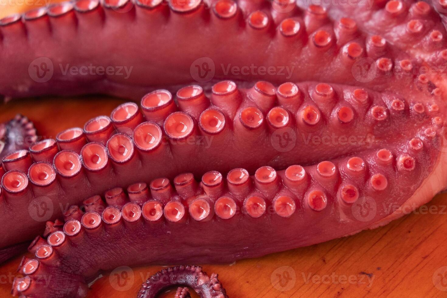 Close up of cooked octopus tentacles, pulpo a feira. Galicia, Spain photo