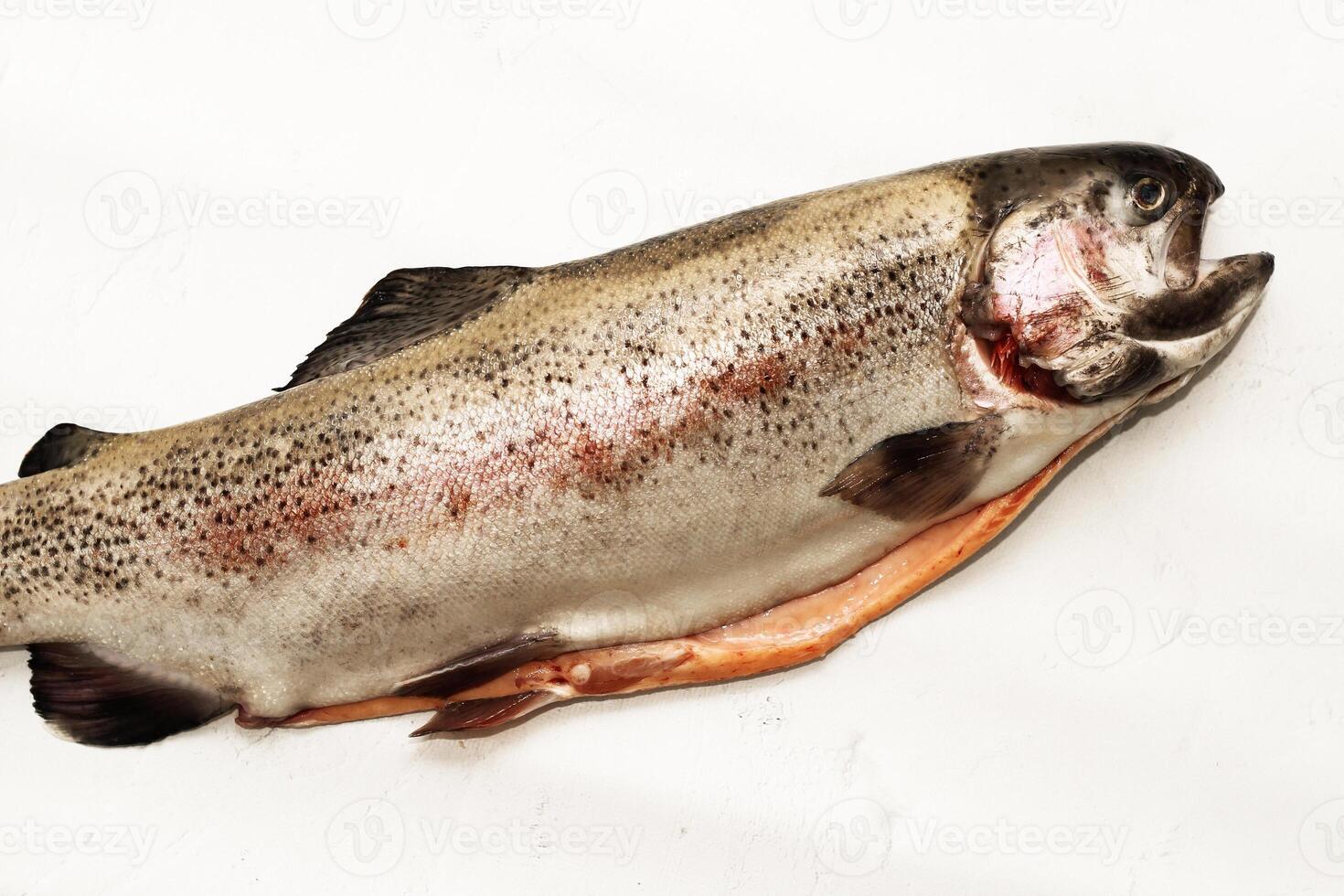 Fish red river trout, cleaning the scales, home cooking photo