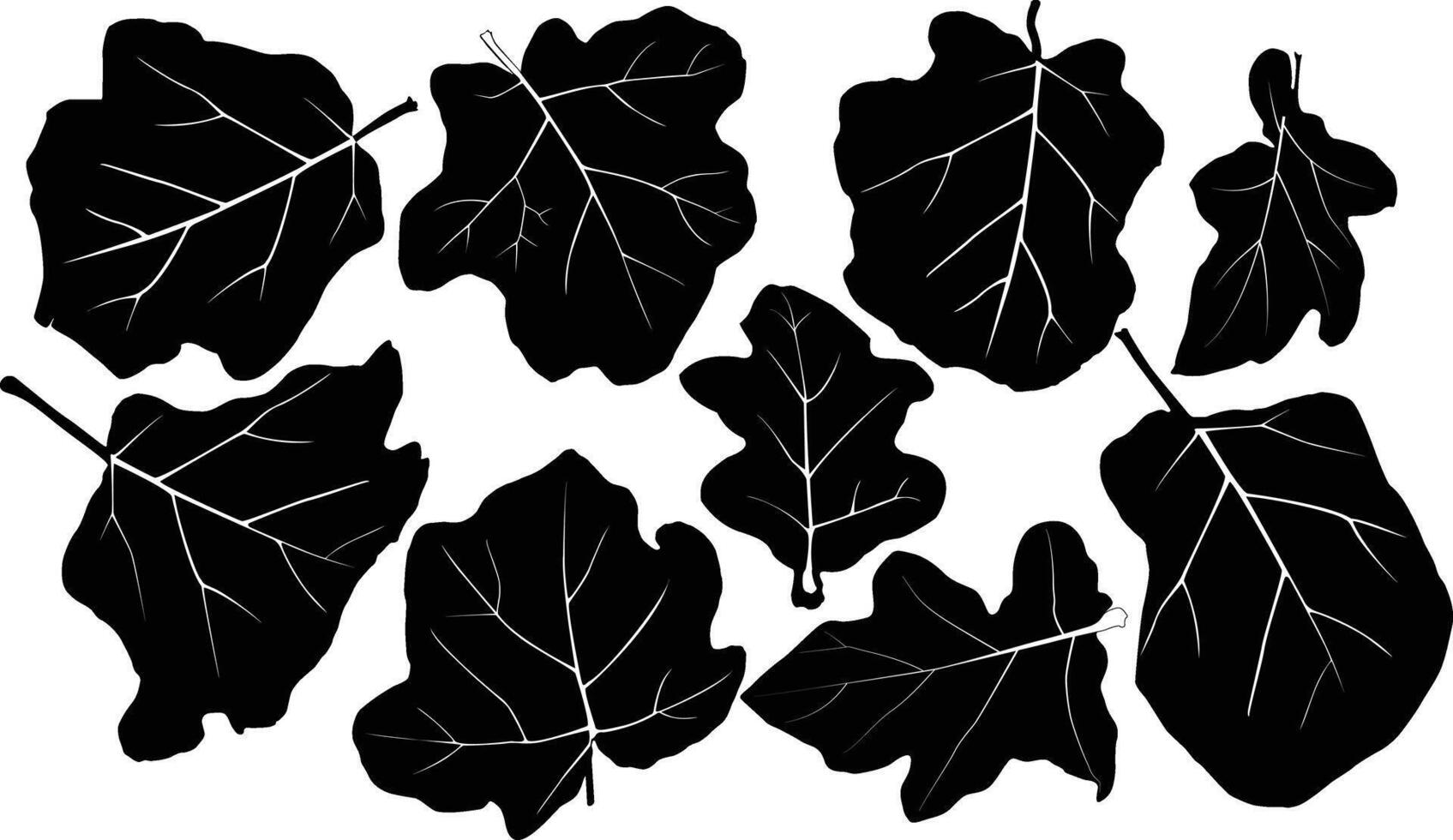 Brinjal leaves silhouette vector