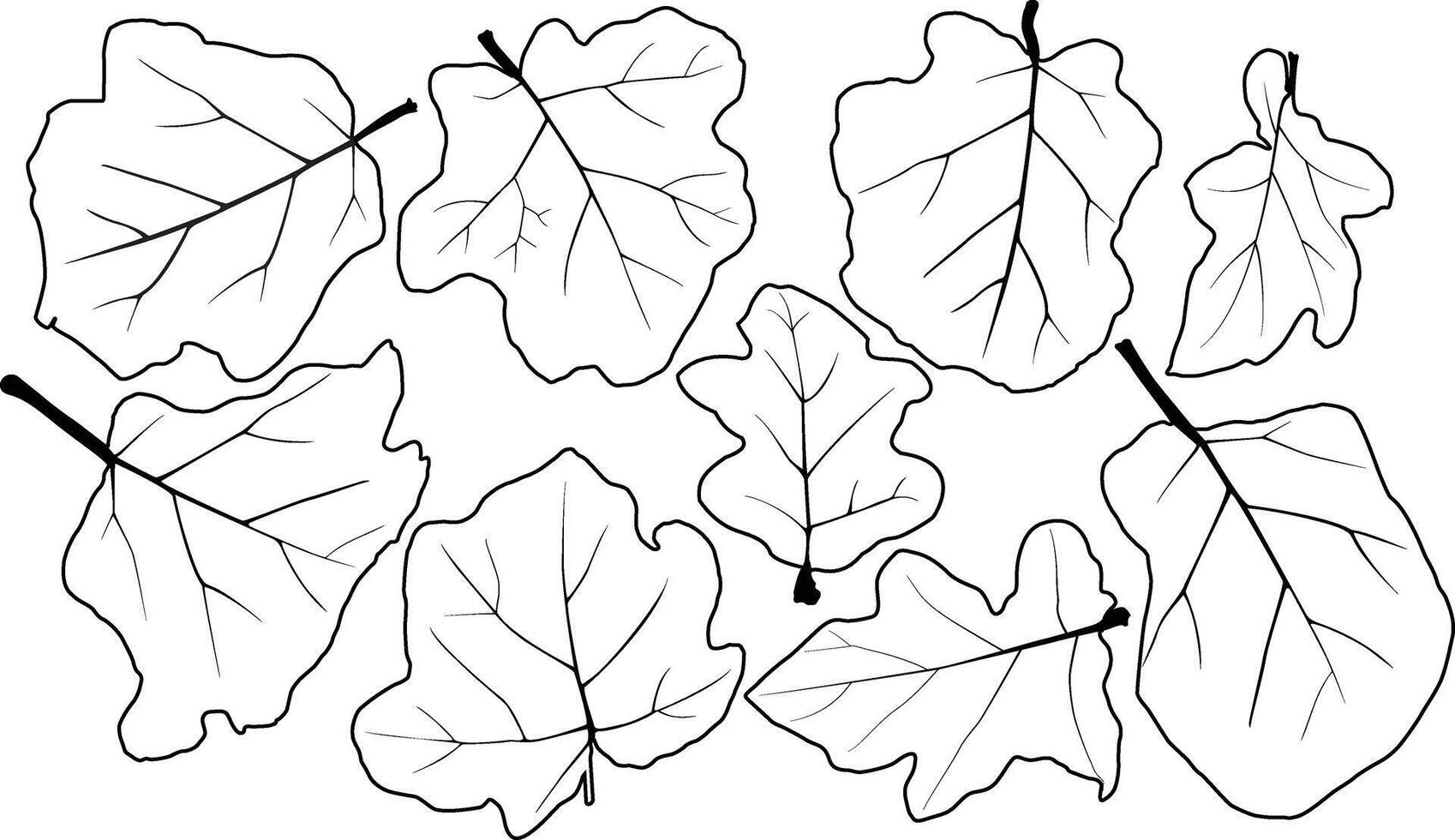 Brinjal leaves silhouette vector