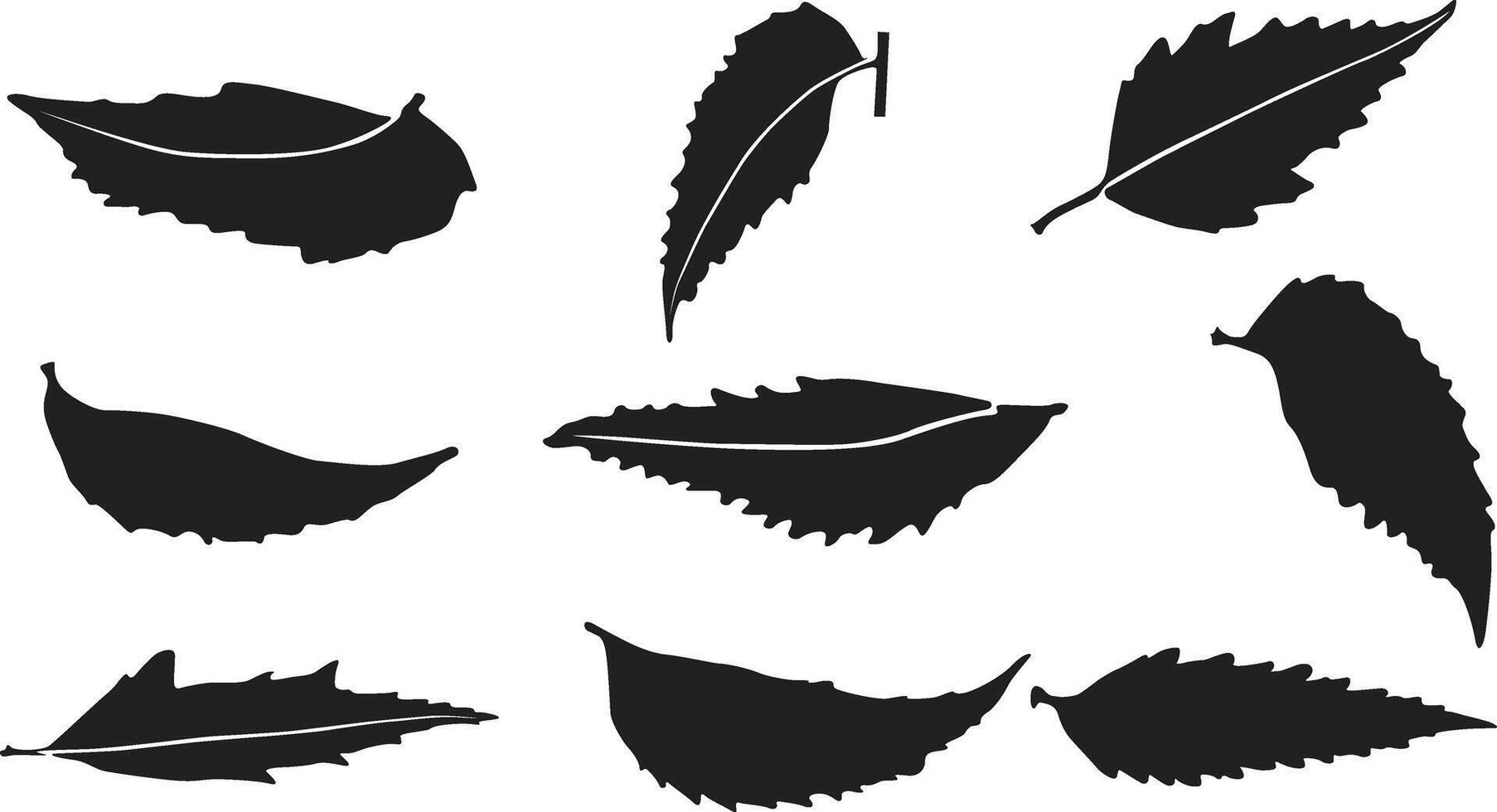 Neem leaves collection vector