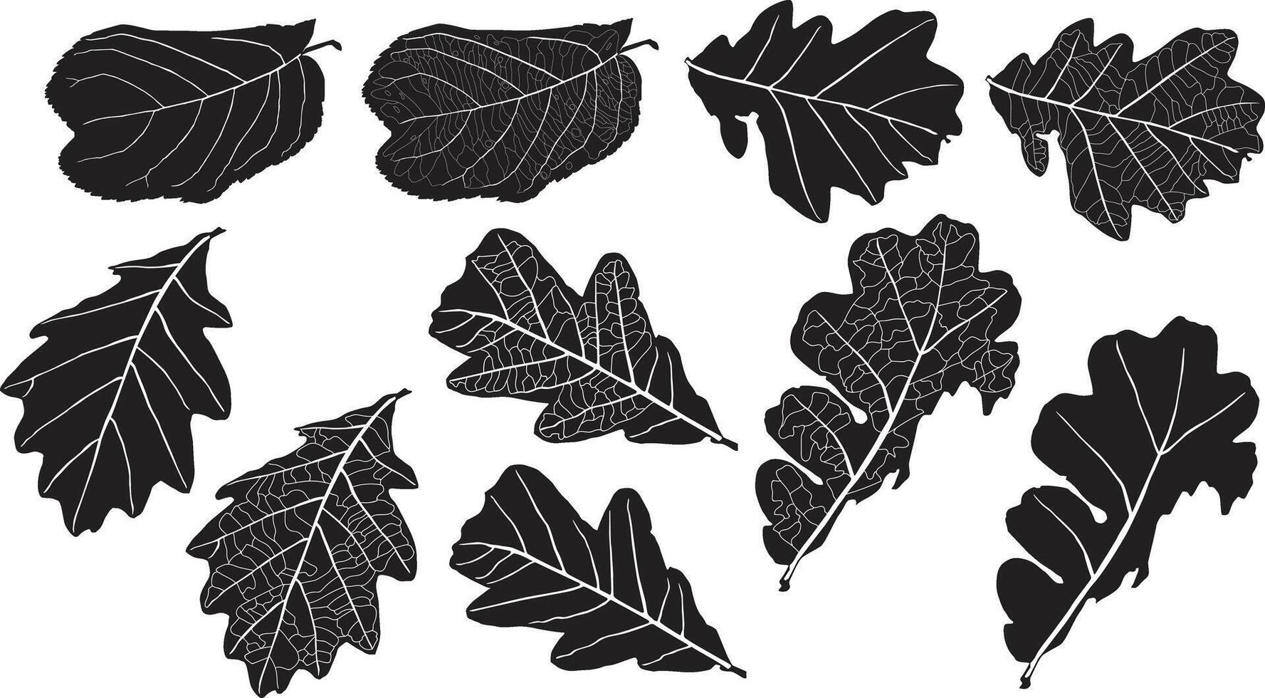 Tropical unique designs vector