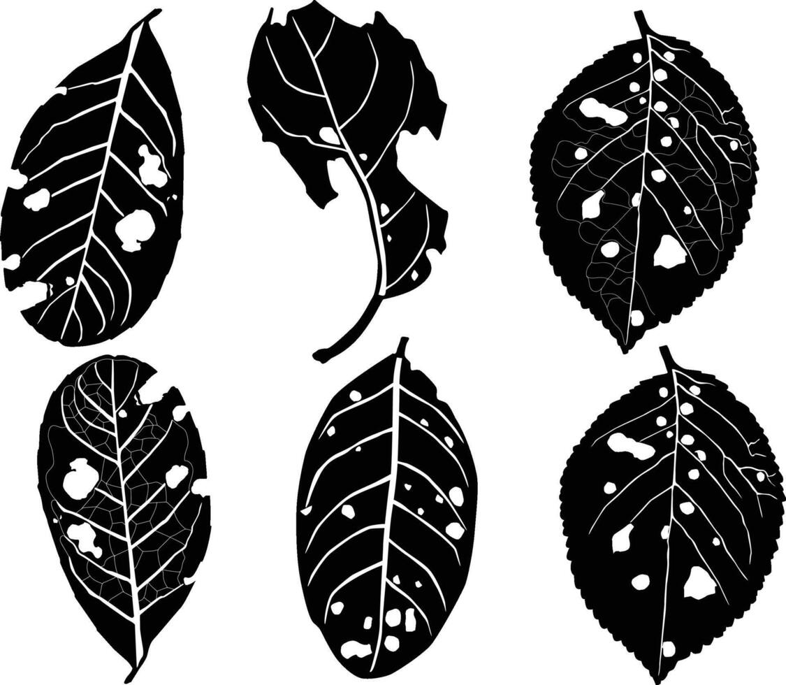 Pattern leaves set vector