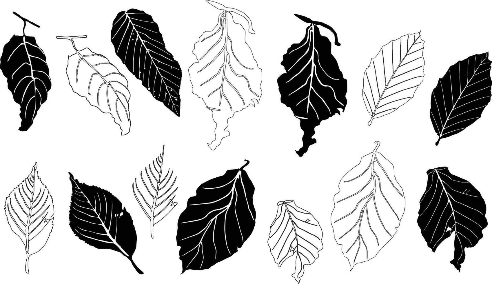 seamless pattern. seamless pattern leaf designs. vector