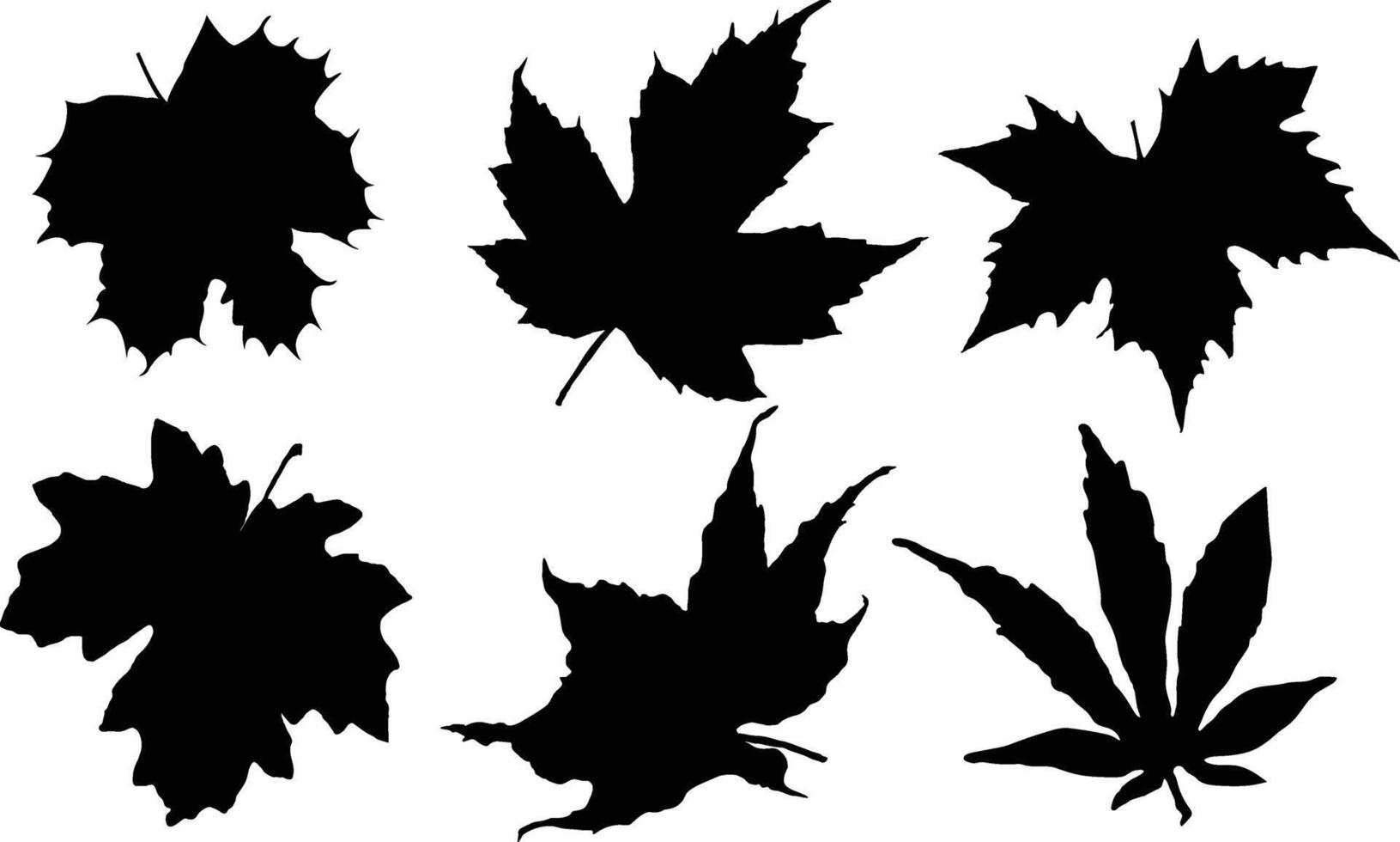 Silhouette fall leaf vector