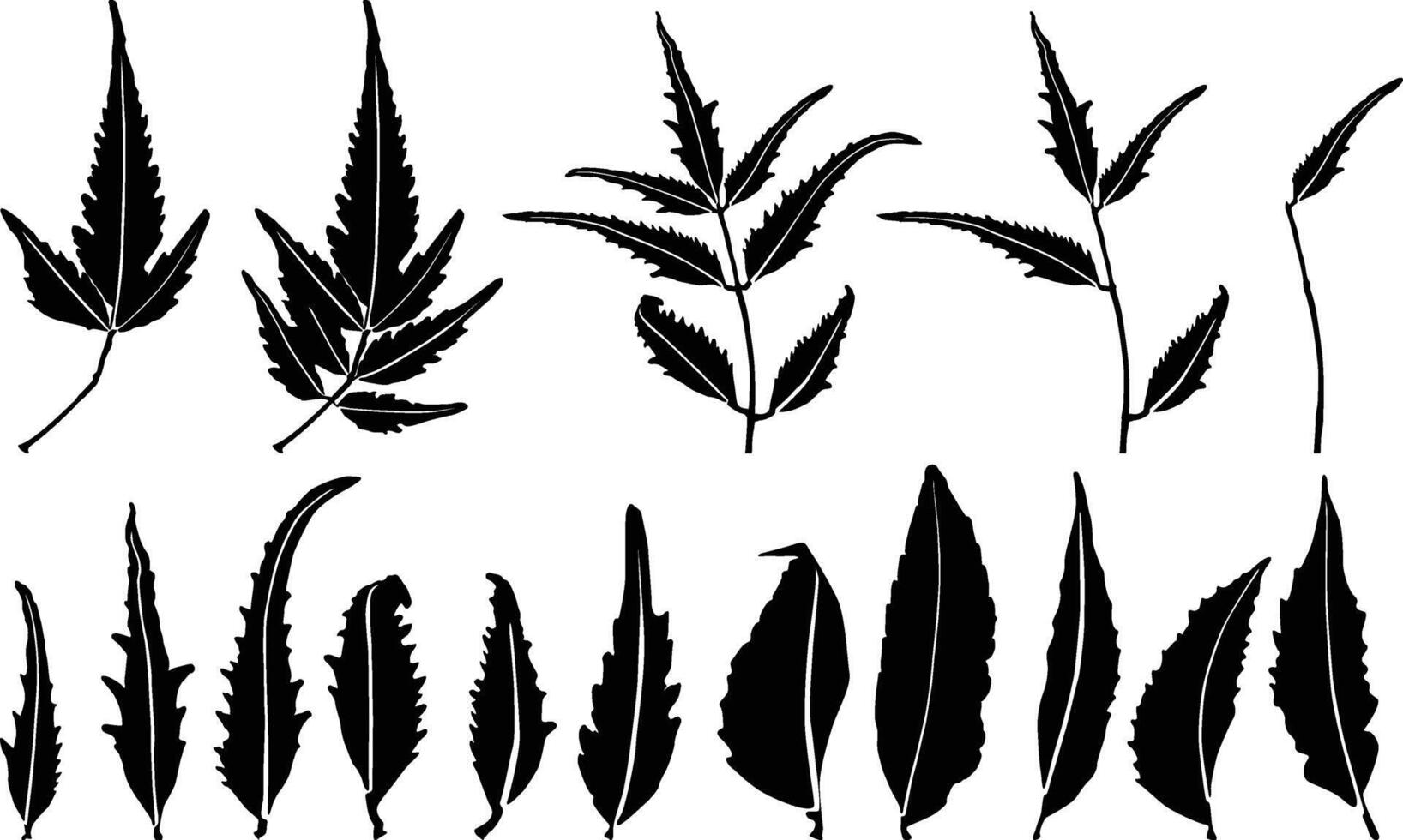 Neem imprints leaves design vector