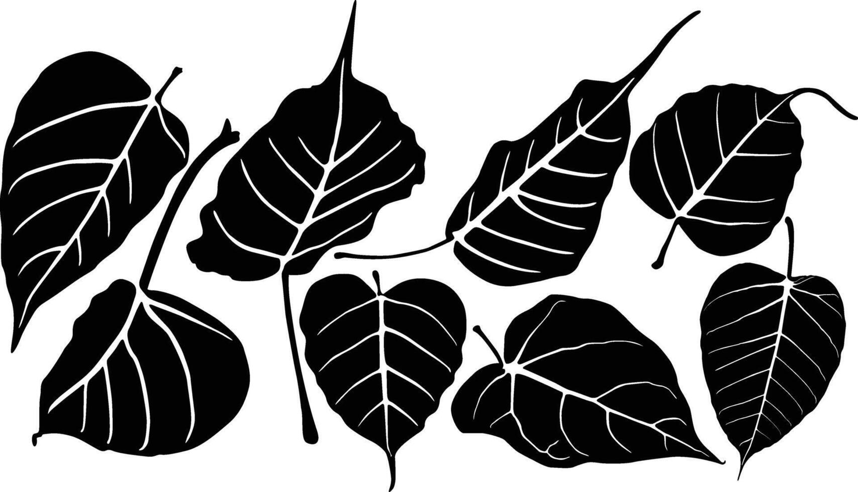 Bodhi leaves collection vector