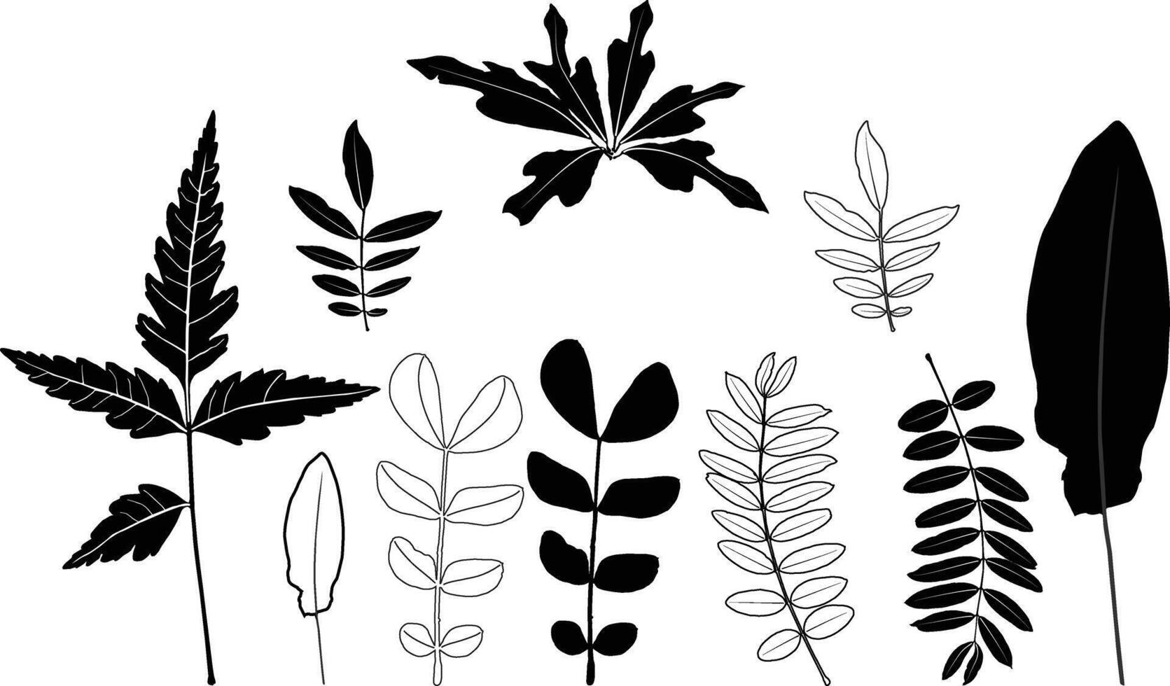 silhouette leaves brunch vector