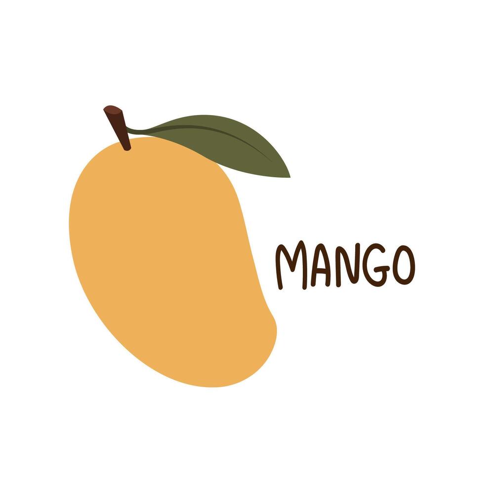 Mango . Mango on white background. logo design. Mango cartoon . Thailand dessert. vector