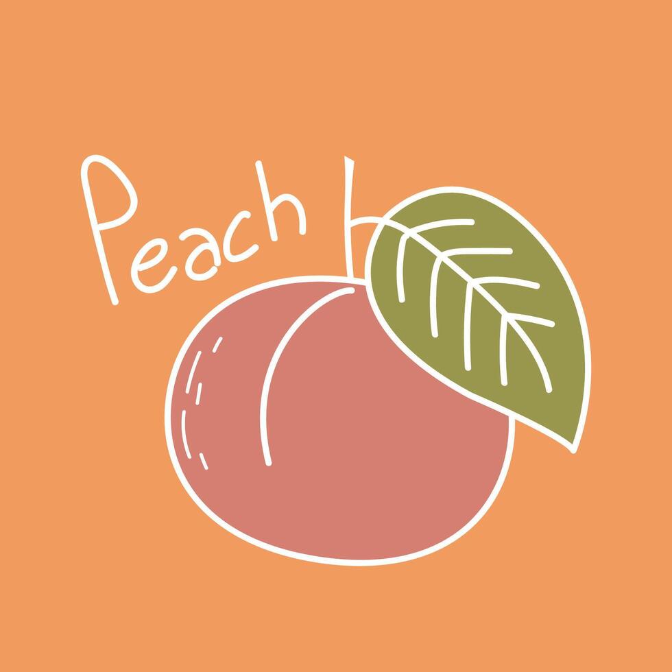 Peach cartoon . Doodle peach with leaves icon. Peach fruit in shape of heart isolated. Farm, natural food, fresh fruits. vector