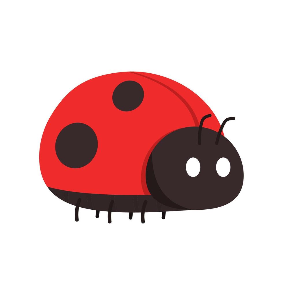 Ladybug . ladybug on white background. wallpaper. symbol. vector