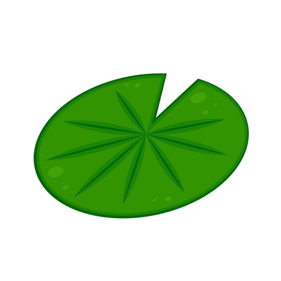 Lily pad icon. Lily cartoon on white background. vector