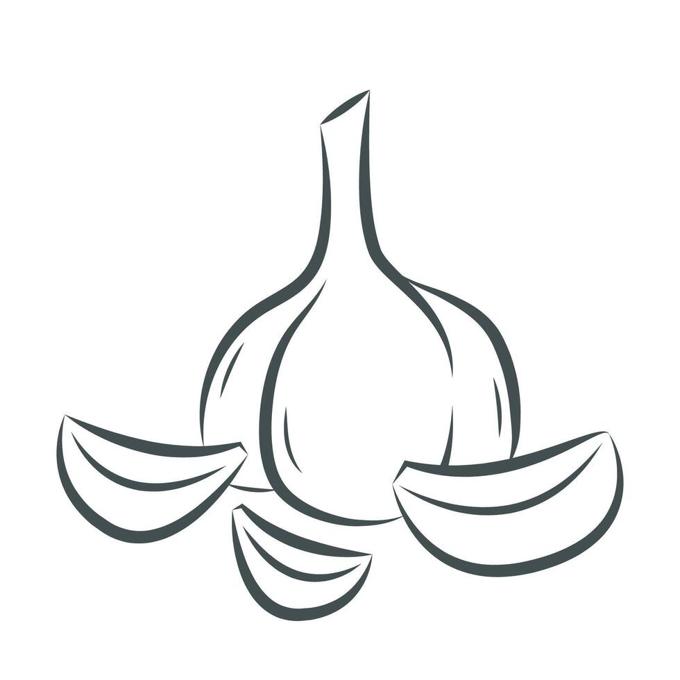 Garlic . Garlic logo design. Garlic symbol. wallpaper. free space for text. vector