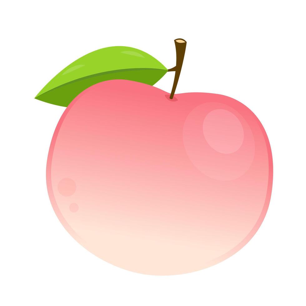 Peach cartoon . Doodle peach with leaves icon. Peach fruit in shape of heart isolated on white background. Farm, natural food, fresh fruits. vector