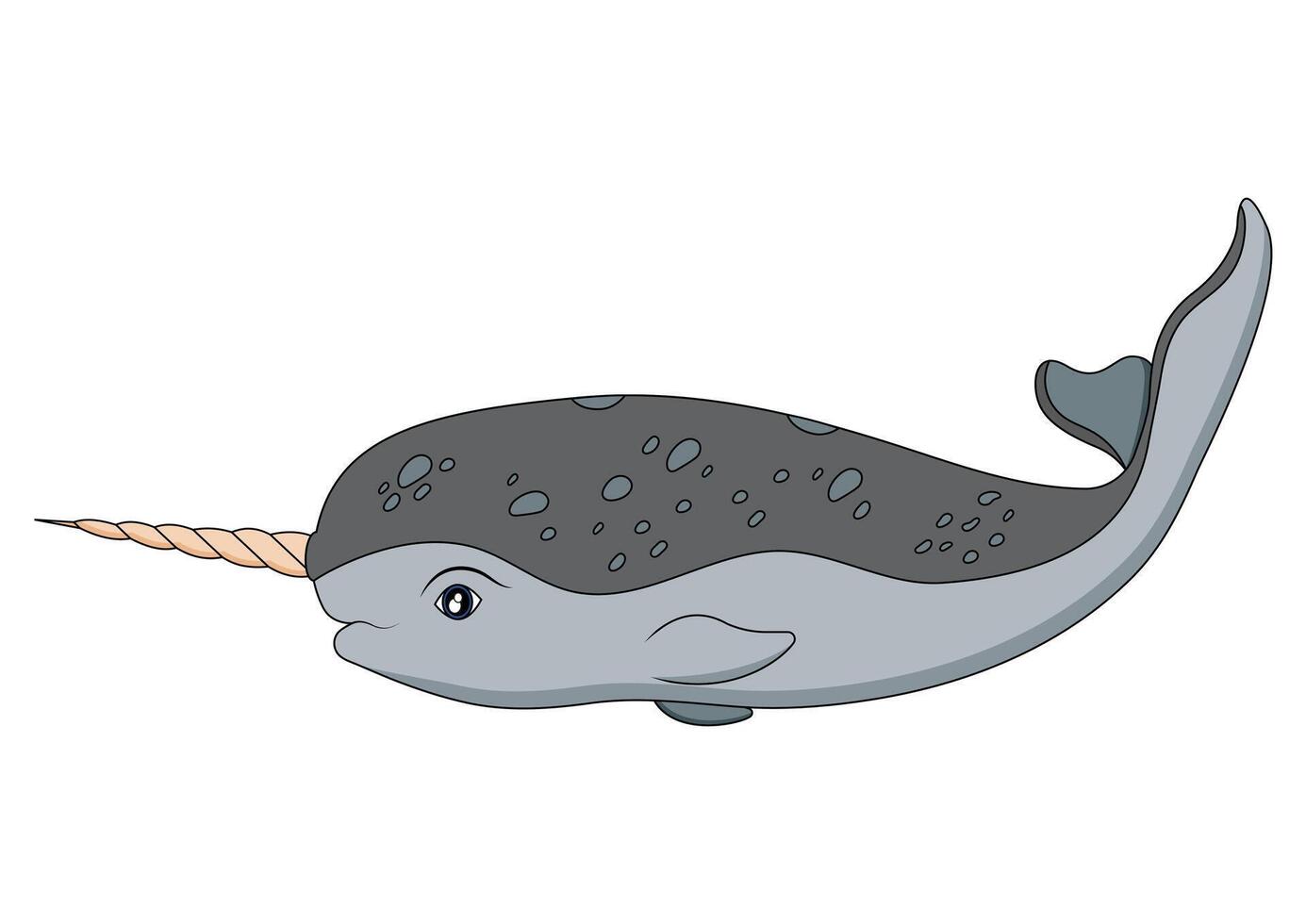 Narwhal Flat Designs, Isolated on White Background vector