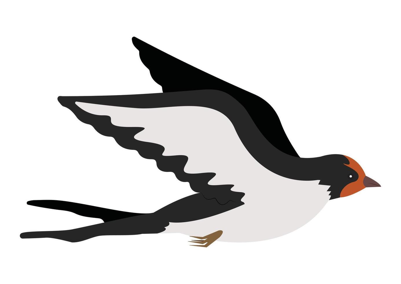 Swallow Bird Clipart Flat Designs vector