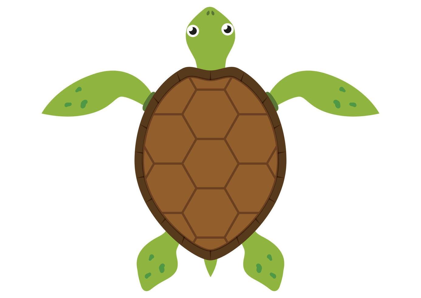 Cartoon Turtle Flat Design Isolated on White Background vector