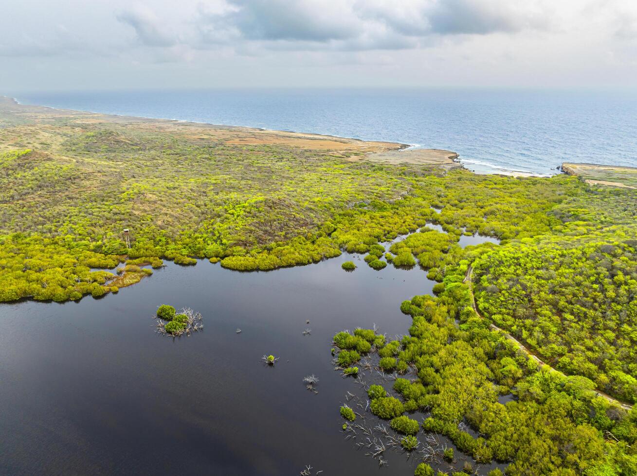 Aerial view over a blooming Caribbean island photo