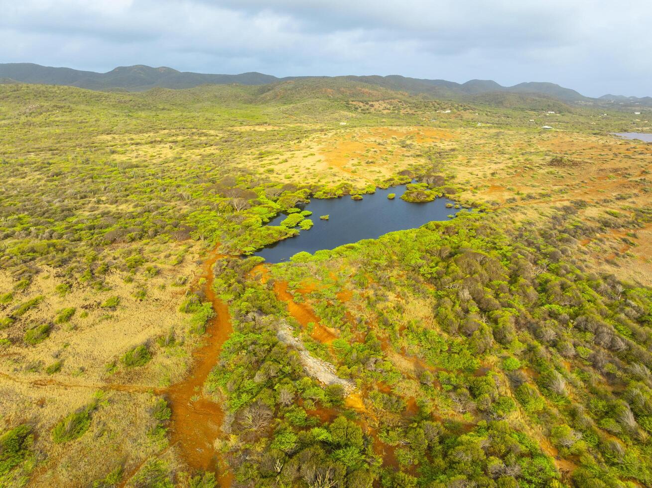 Aerial view over a blooming Caribbean island photo