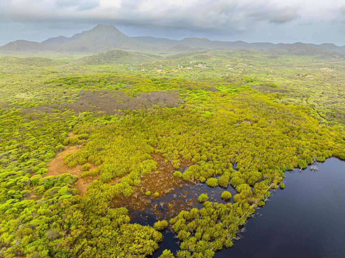 Aerial view over a blooming Caribbean island photo
