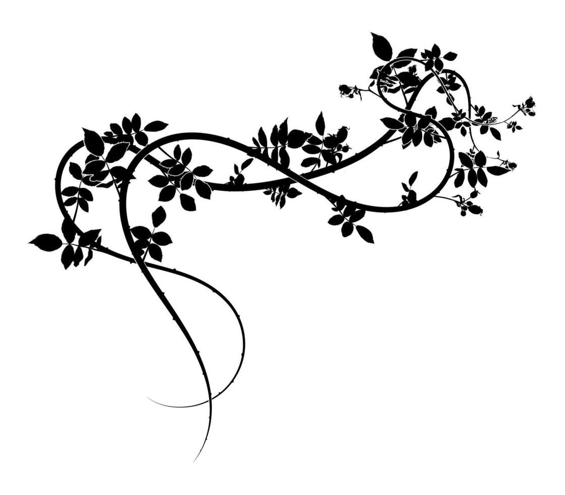 an elegant branch for decorating printing and for vector