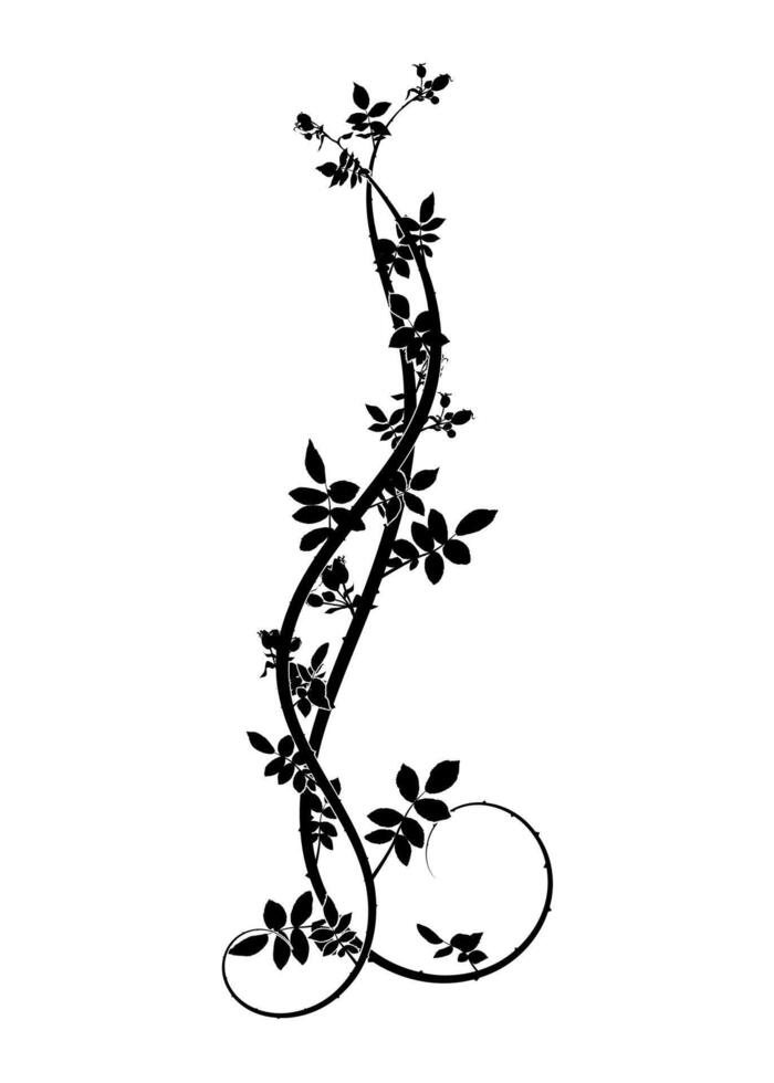 pattern element for decorating printing products vector