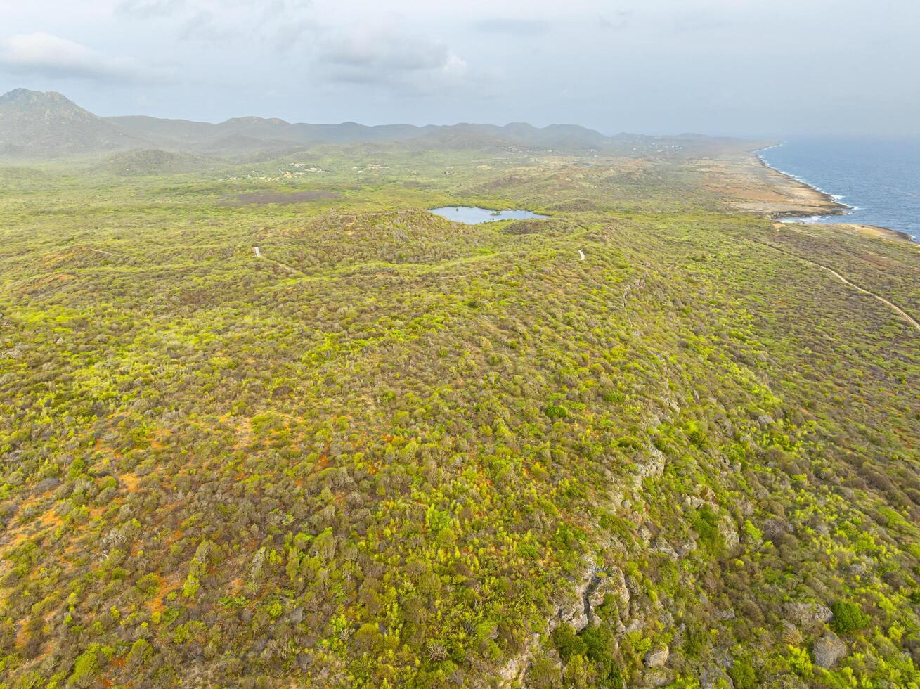 Aerial view over a blooming Caribbean island photo