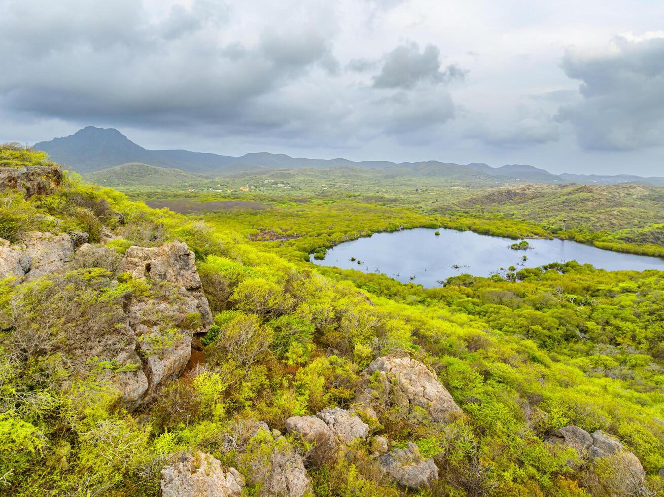 Aerial view over a blooming Caribbean island photo