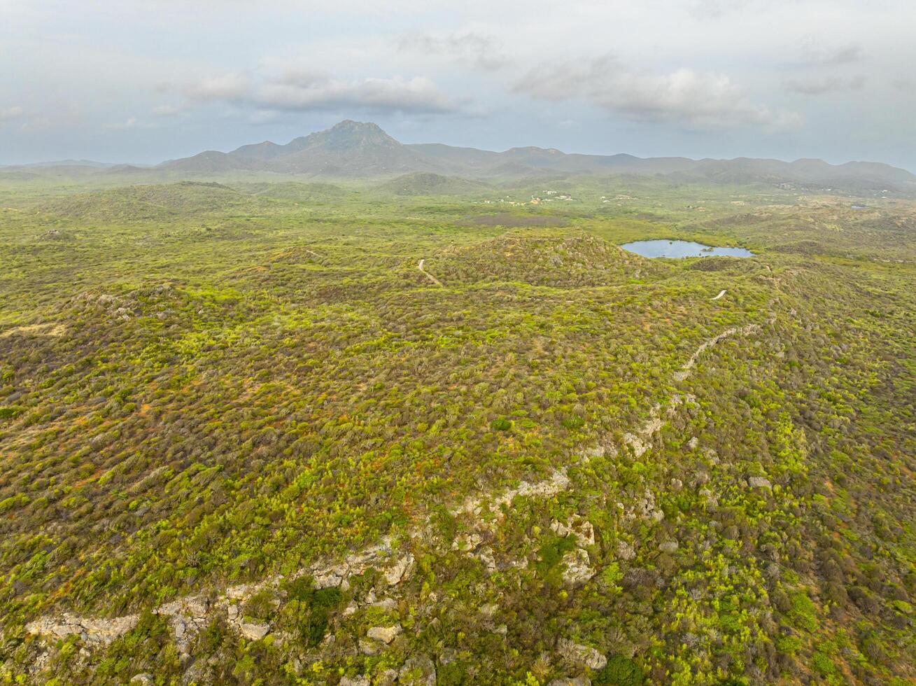 Aerial view over a blooming Caribbean island photo