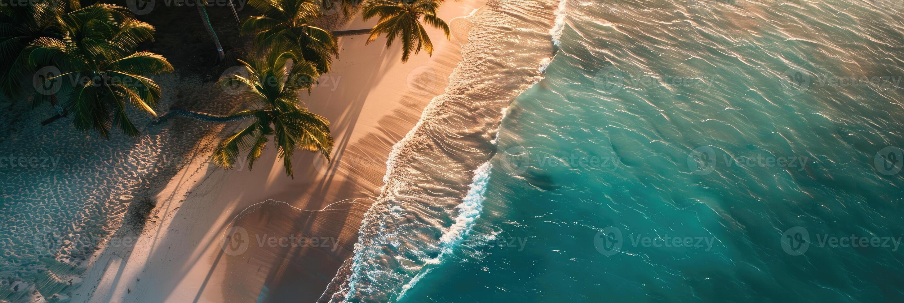 Aerial view azure waters ocean palm trees on beach photo