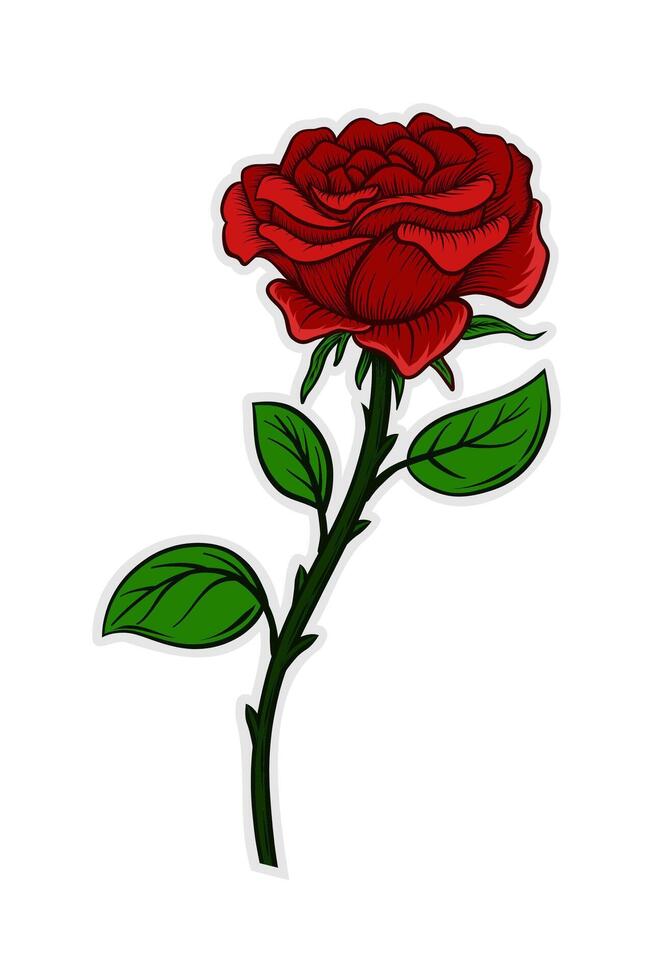 illustration of a red rose with leaves and thorns vector
