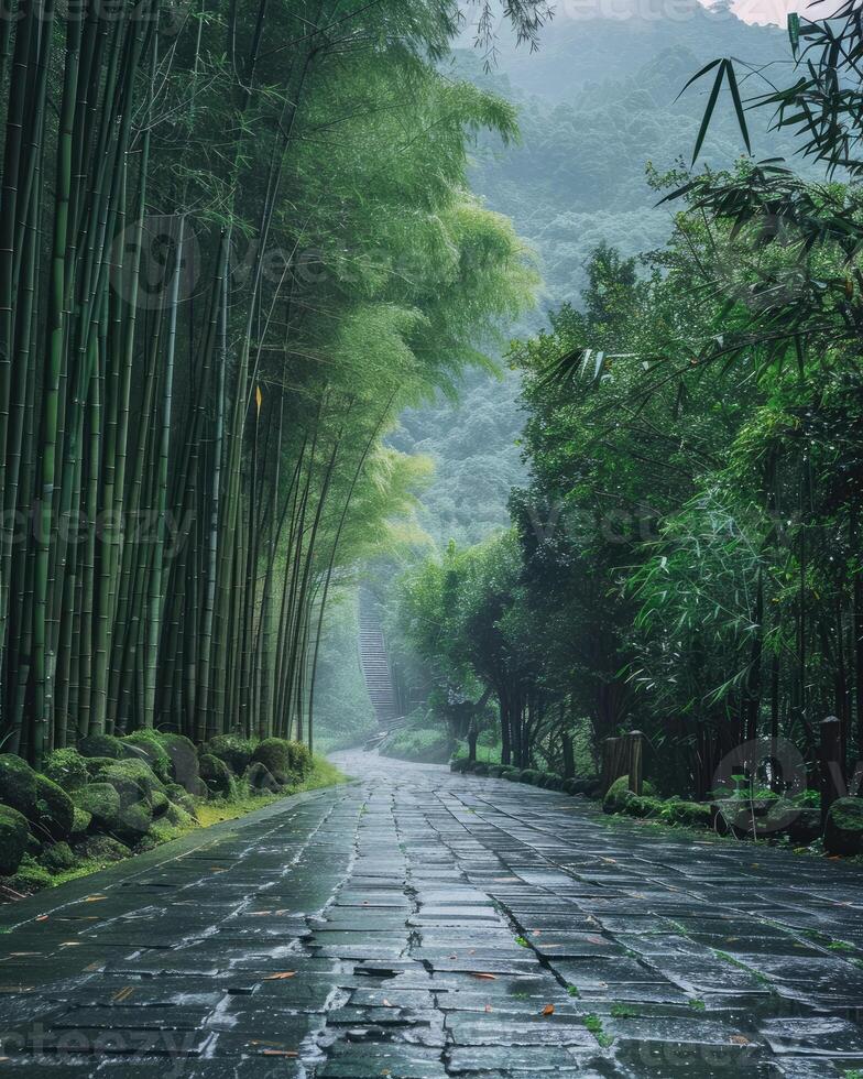 Misty Rain Over Bamboo Forest Under the Mountain photo