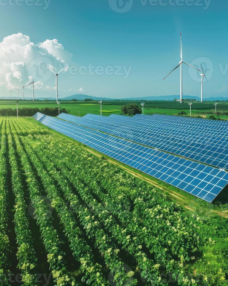 Panoramic View of an Eco-Friendly Power Plant with Solar Panels and Wind Turbines photo