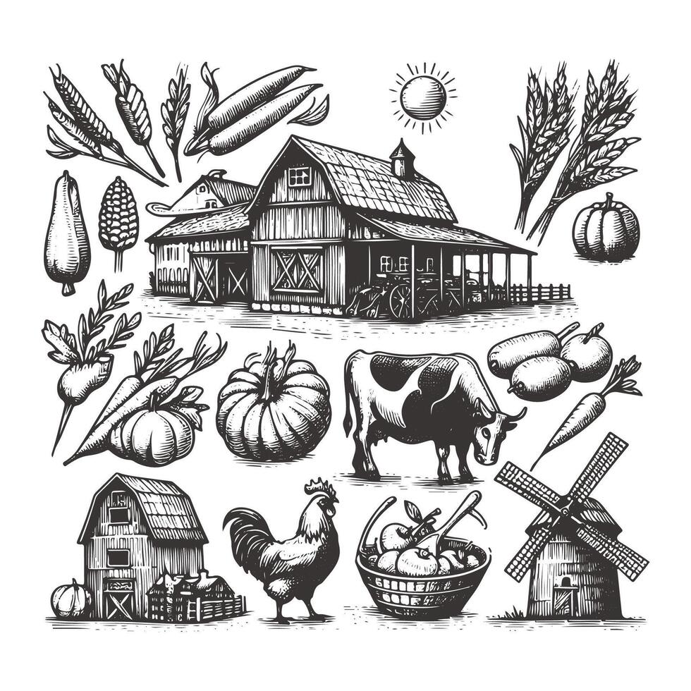 Vintage Farm Elements A Timeless Illustration Collection vector